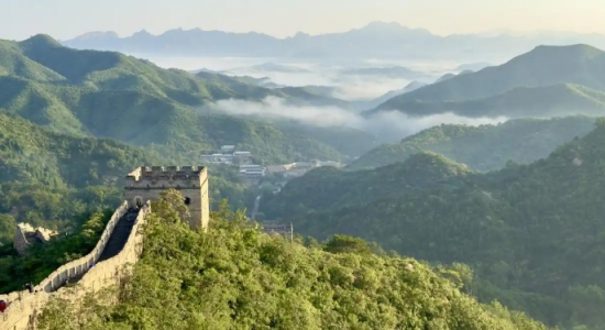 习近平: 世界和平与发展的坚定支持者、维护者、推动者